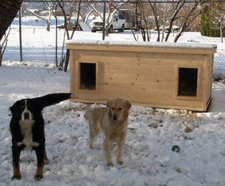 Nikki & Chaska - British Columbia